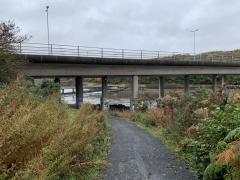 The River Wansbeck